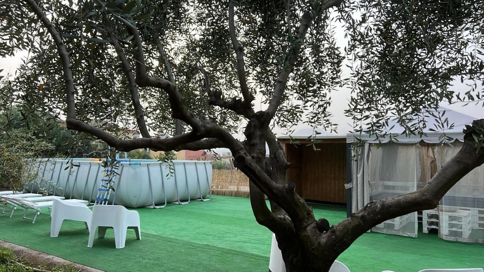 Cerasella House Leilighet Castellammare di Stabia Eksteriør bilde
