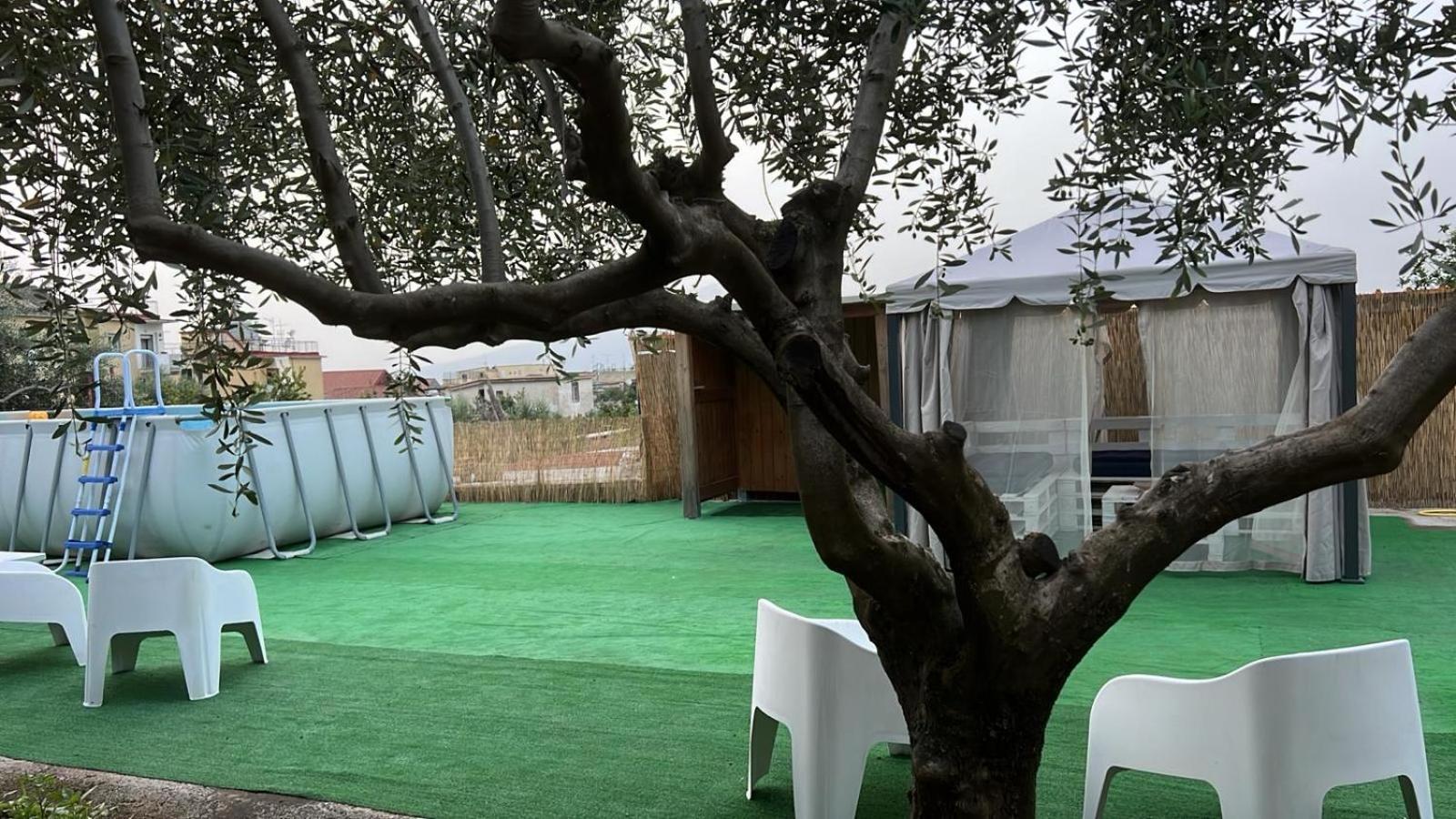 Cerasella House Leilighet Castellammare di Stabia Eksteriør bilde